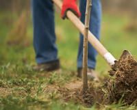 Aushub von Erde in der Gartenarbeit - R&amp;B Dienstleistungen in Hessen_1