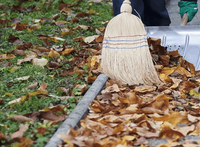 Laub kehren in der Gartenpflege - R&amp;B Dienstleistungen Darmstadt_1